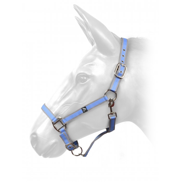 HCW01 Headcollar with Grey and Light Blue Webbing